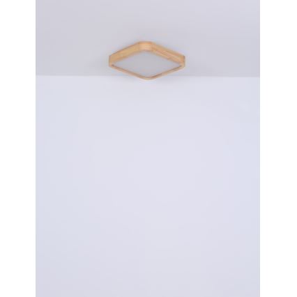 Globo - LED RGB Stmívatelné stropní svítidlo LED/24W/230V + dálkové ovládání