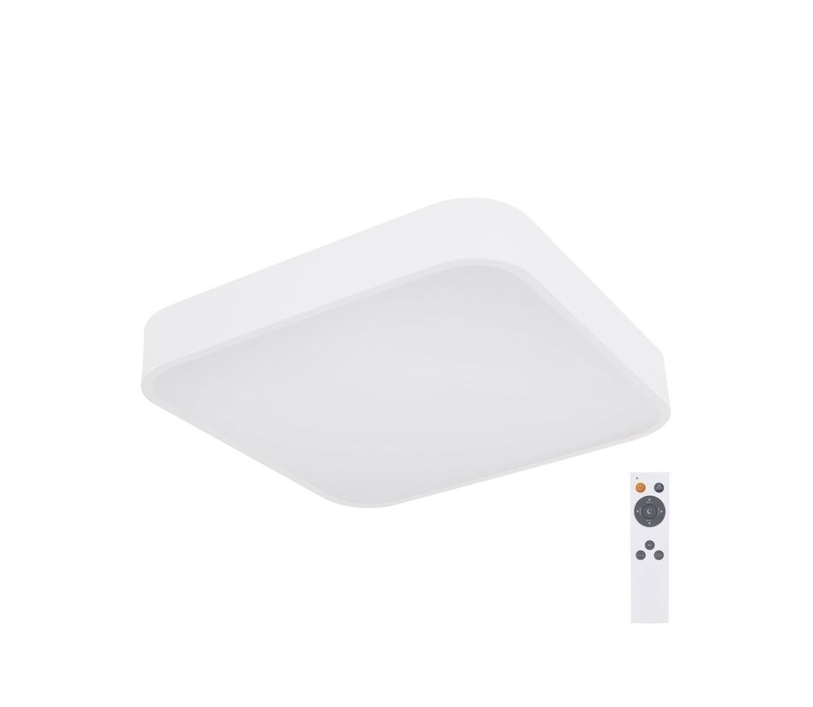 Globo 41755-24W