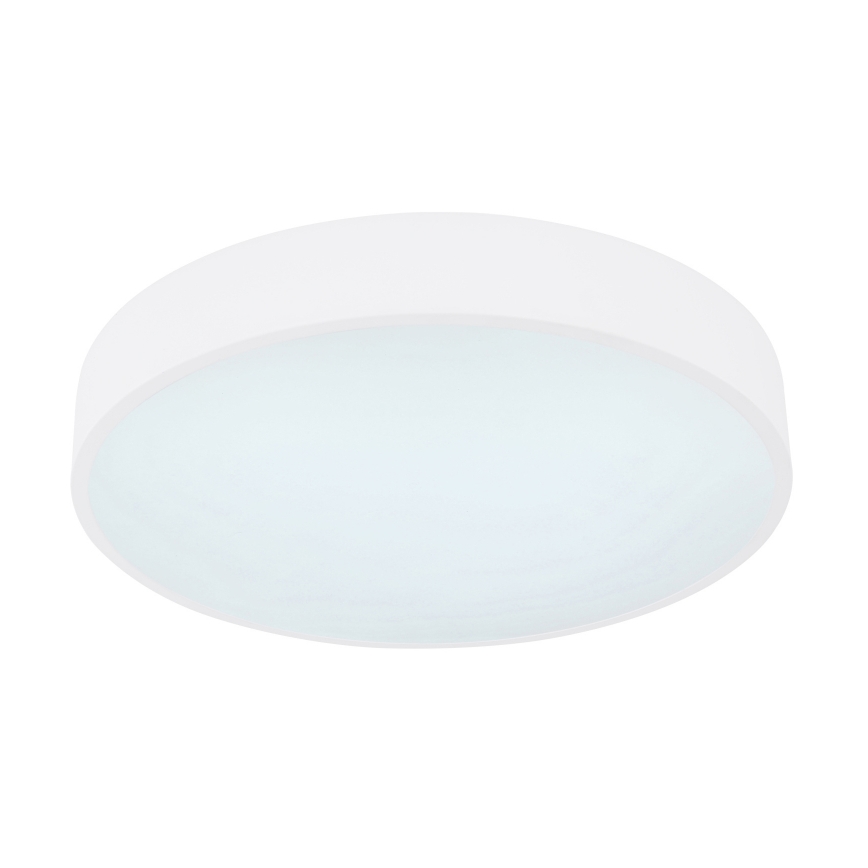 Globo - LED RGB Stmívatelné stropní svítidlo LED/24W/230V + DO