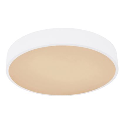 Globo - LED RGB Stmívatelné stropní svítidlo LED/24W/230V + DO