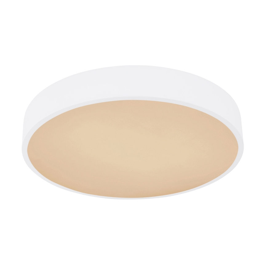 Globo - LED RGB Stmívatelné stropní svítidlo LED/24W/230V + DO
