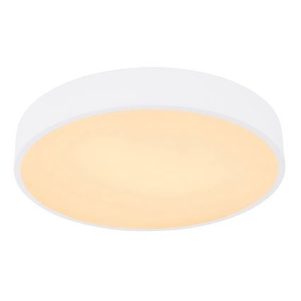 Globo - LED RGB Stmívatelné stropní svítidlo LED/24W/230V + DO
