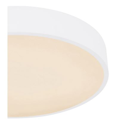 Globo - LED RGB Stmívatelné stropní svítidlo LED/24W/230V + DO