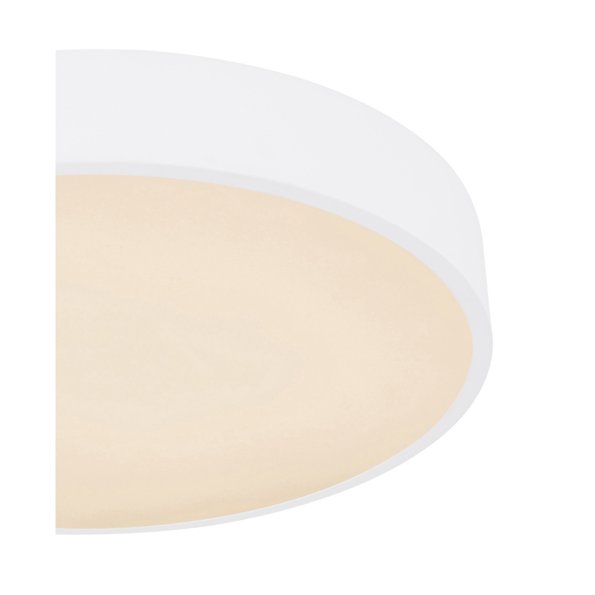 Globo - LED RGB Stmívatelné stropní svítidlo LED/24W/230V + DO