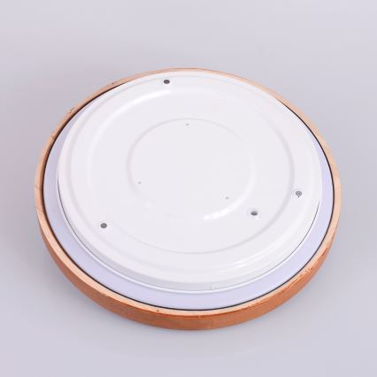 Globo - LED Stropní svítidlo LED/12W/230V 307 mm 3000/4500/6000K