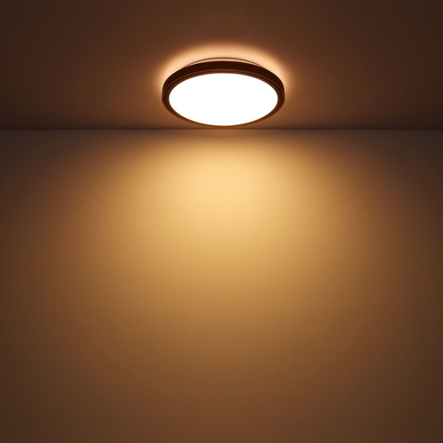 Globo - LED Stropní svítidlo LED/12W/230V 307 mm 3000/4500/6000K