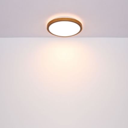 Globo - LED Stropní svítidlo LED/12W/230V 307 mm 3000/4500/6000K