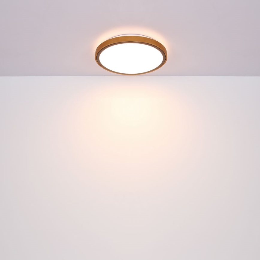 Globo - LED Stropní svítidlo LED/12W/230V 307 mm 3000/4500/6000K