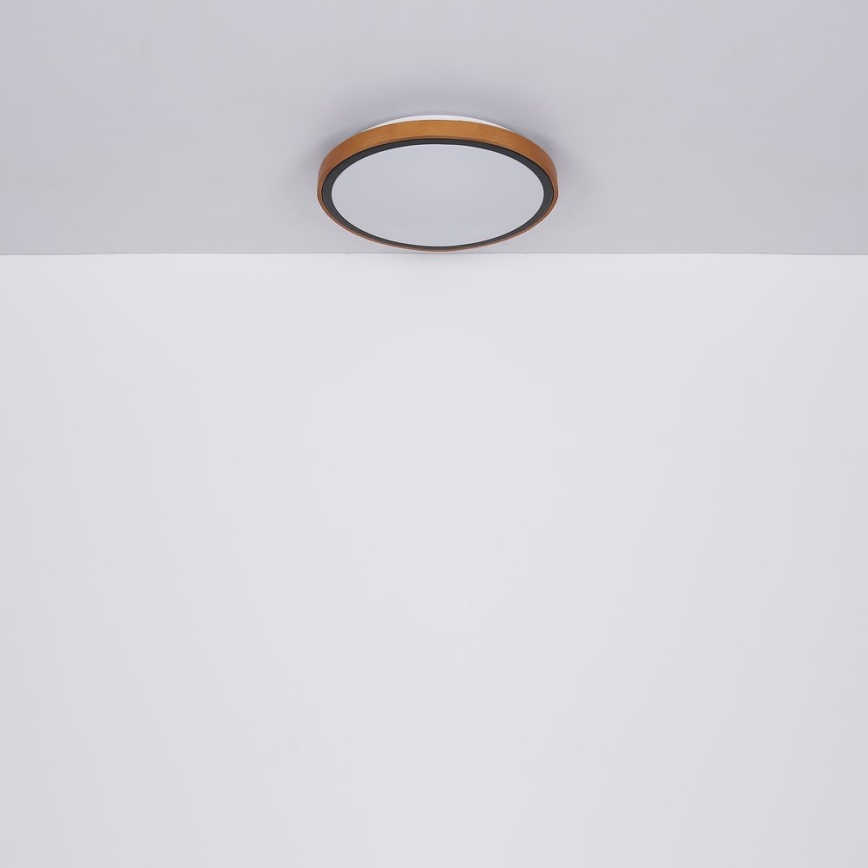 Globo - LED Stropní svítidlo LED/12W/230V 307 mm 3000/4500/6000K