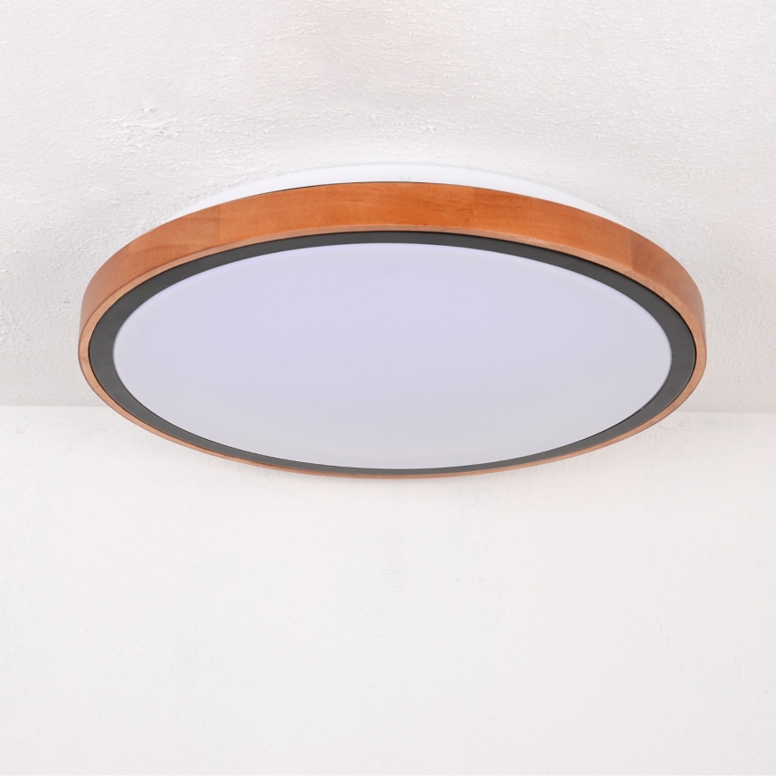 Globo - LED Stropní svítidlo LED/24W/230V 3000/4500/6000K pr. 43,7 cm