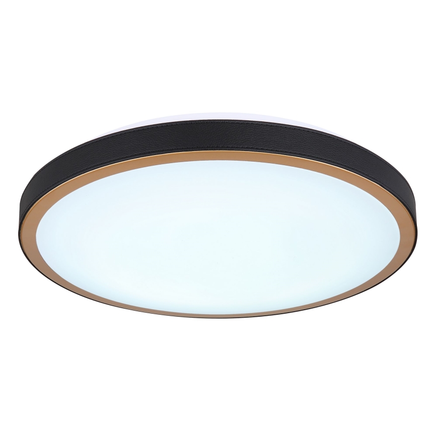Globo - LED Stropní svítidlo LED/24W/230V 3000/4500/6000K pr. 42 cm