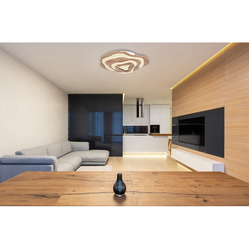Globo - LED Stmívatelné stropní svítidlo LED/40W/230V 2700-6000K + dálkové ovládání
