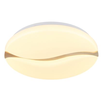 Globo - LED Stropní svítidlo LED/24W/230V 3000/4200/6000K pr. 39 cm