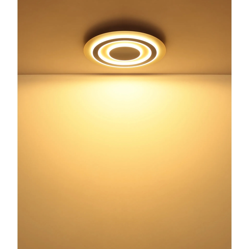 Globo - LED Stropní svítidlo LED/40W/230V 3000K pr. 48 cm