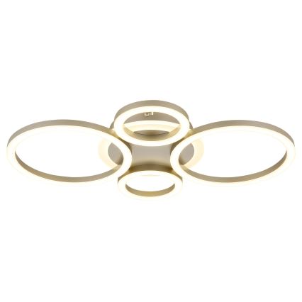 Globo - LED Stropní svítidlo LED/40W/230V 2700/4500/6500K 35,5x53 cm mosaz