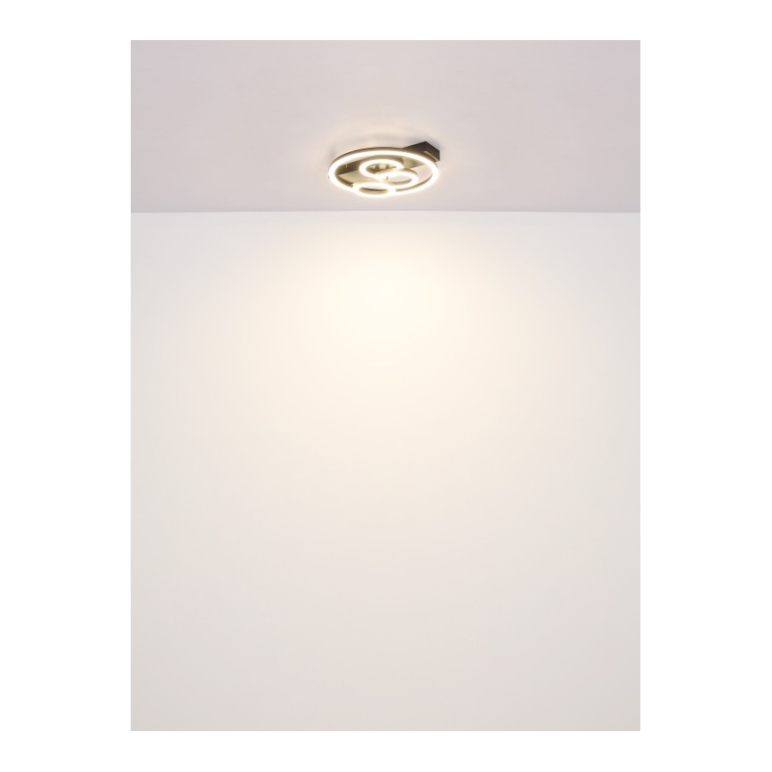 Globo - LED Stmívatelné stropní svítidlo LED/40W/230V 2700-6500K pr. 35x33 cm + dálkové ovládání