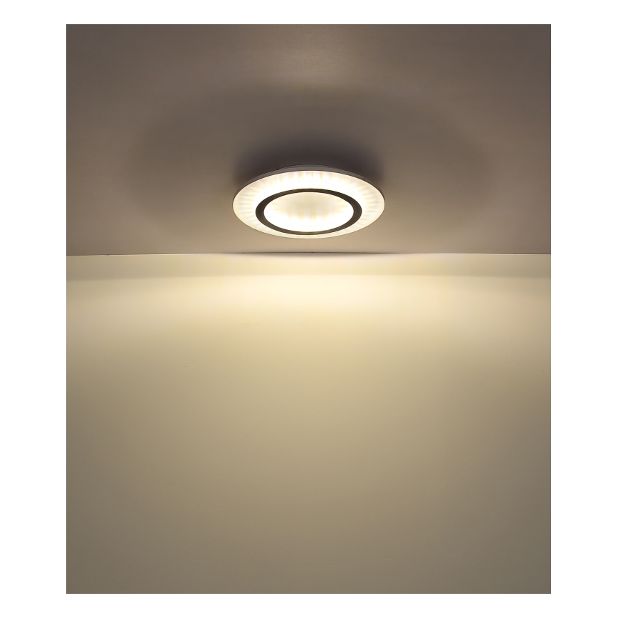 Globo - LED Stropní svítidlo LED/24W/230V 3000/4000/6500K pr. 35 cm bílá