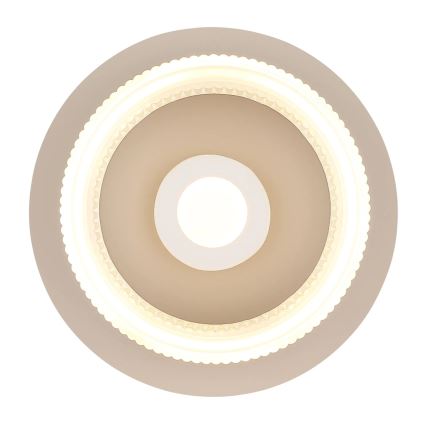 Globo - LED Stropní svítidlo LED/8W/230V 3000K pr. 16 cm