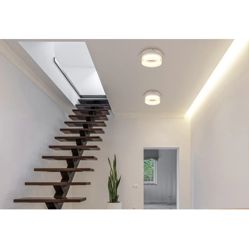 Globo - LED Stropní svítidlo LED/8W/230V 3000K pr. 16 cm