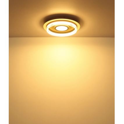 Globo - LED Stropní svítidlo LED/24W/230V 3000K pr. 40 cm
