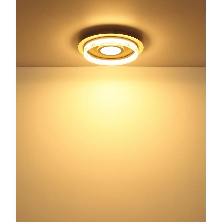 Globo - LED Stropní svítidlo LED/24W/230V 3000K pr. 40 cm