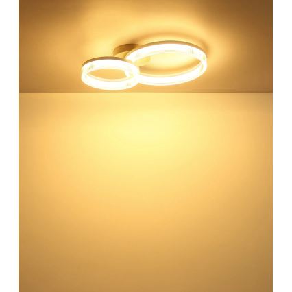 Globo - LED Stropní svítidlo LED/24W/230V 3000K 33x50 cm