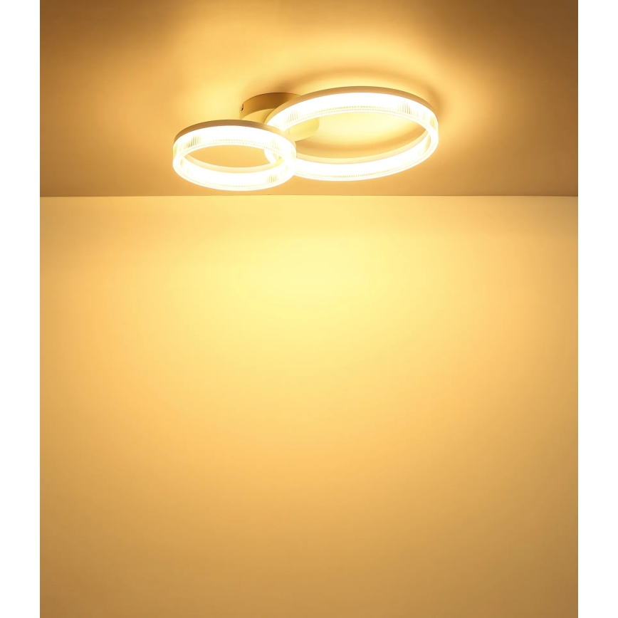 Globo - LED Stropní svítidlo LED/24W/230V 3000K 33x50 cm