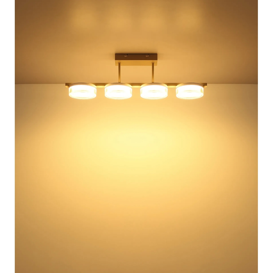 Globo - LED Přisazený lustr LED/24W/230V 3000K