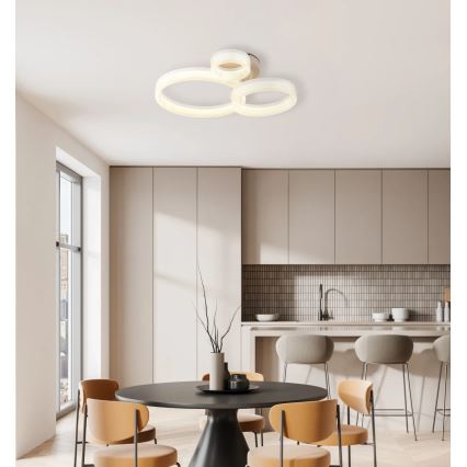 Globo - LED Stropní svítidlo LED/24W/230V 3000K 40,5x51 cm