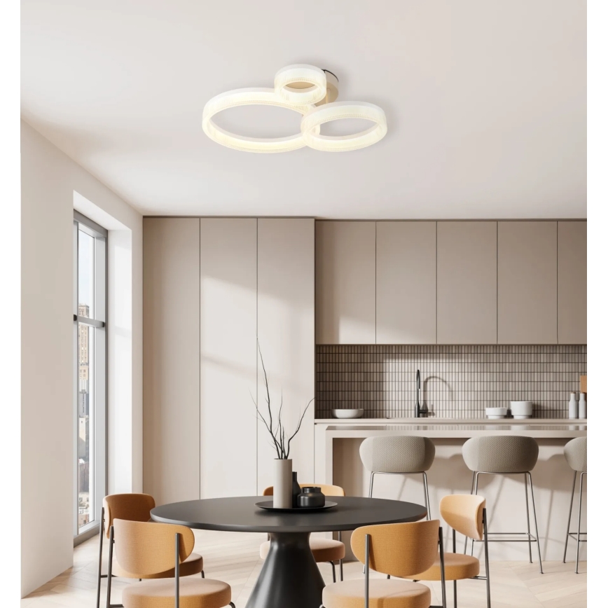 Globo - LED Stropní svítidlo LED/24W/230V 3000K 40,5x51 cm