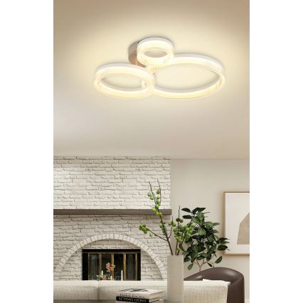 Globo - LED Stropní svítidlo LED/24W/230V 3000K 40,5x51 cm