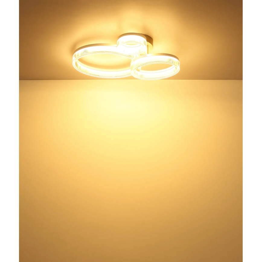 Globo - LED Stropní svítidlo LED/24W/230V 3000K 40,5x51 cm