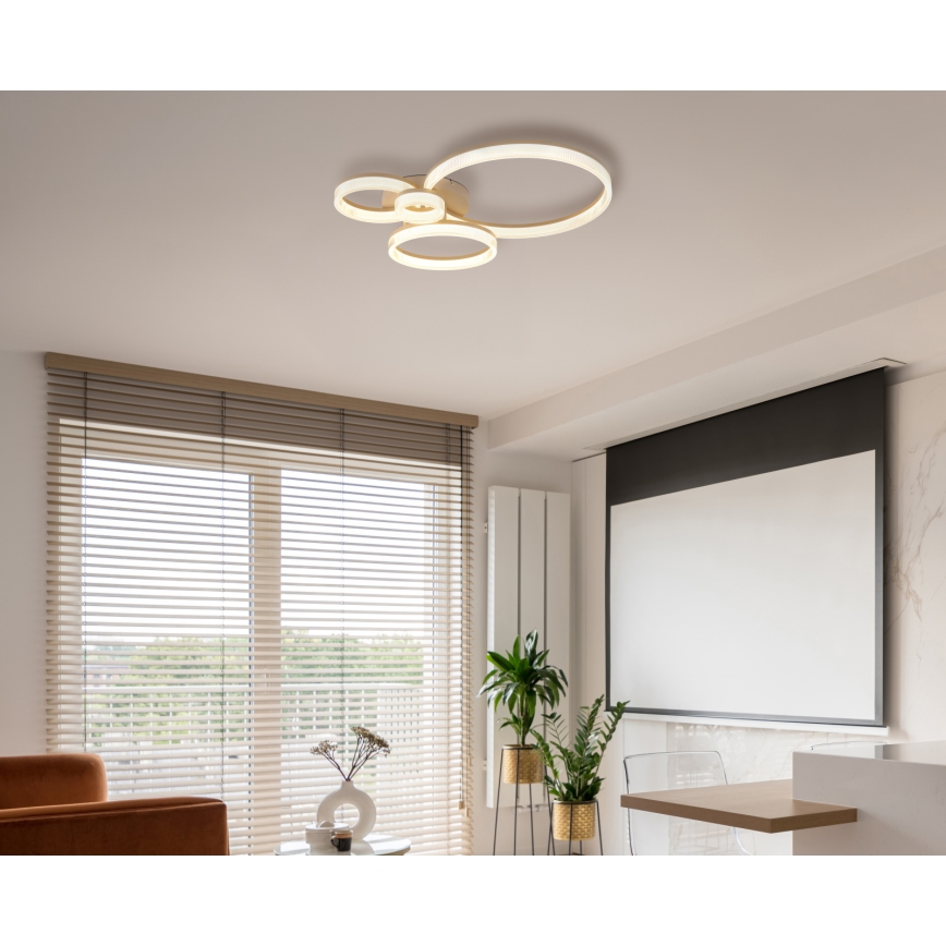 Globo - LED Stropní svítidlo LED/40W/230V 3000K 64,5x75 cm