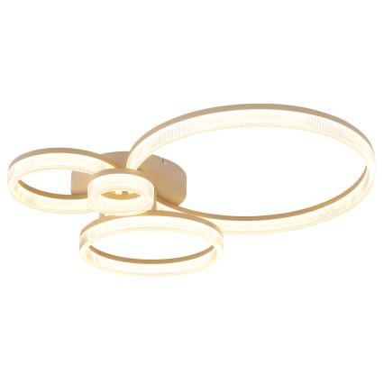 Globo - LED Stropní svítidlo LED/40W/230V 3000K 64,5x75 cm
