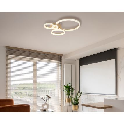 Globo - LED Stropní svítidlo LED/40W/230V 3000K 64,5x75 cm