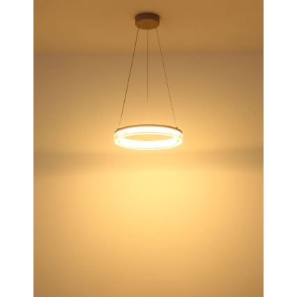 Globo - LED Lustr na lanku LED/16W/230V 3000K