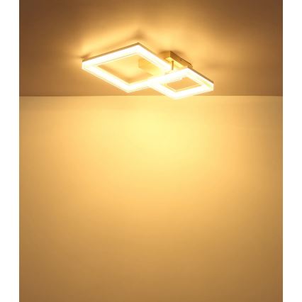 Globo - LED Stropní svítidlo LED/24W/230V 3000K 46,5x62,5 cm