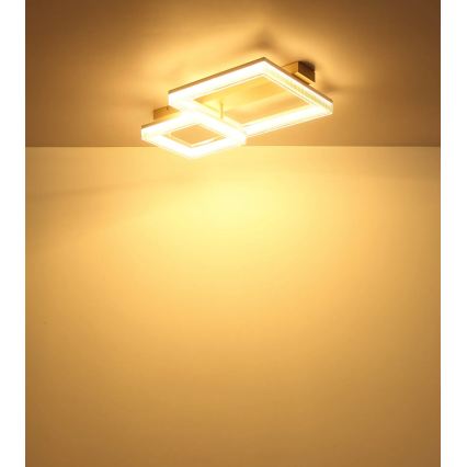 Globo - LED Stropní svítidlo LED/24W/230V 3000K 33x53 cm