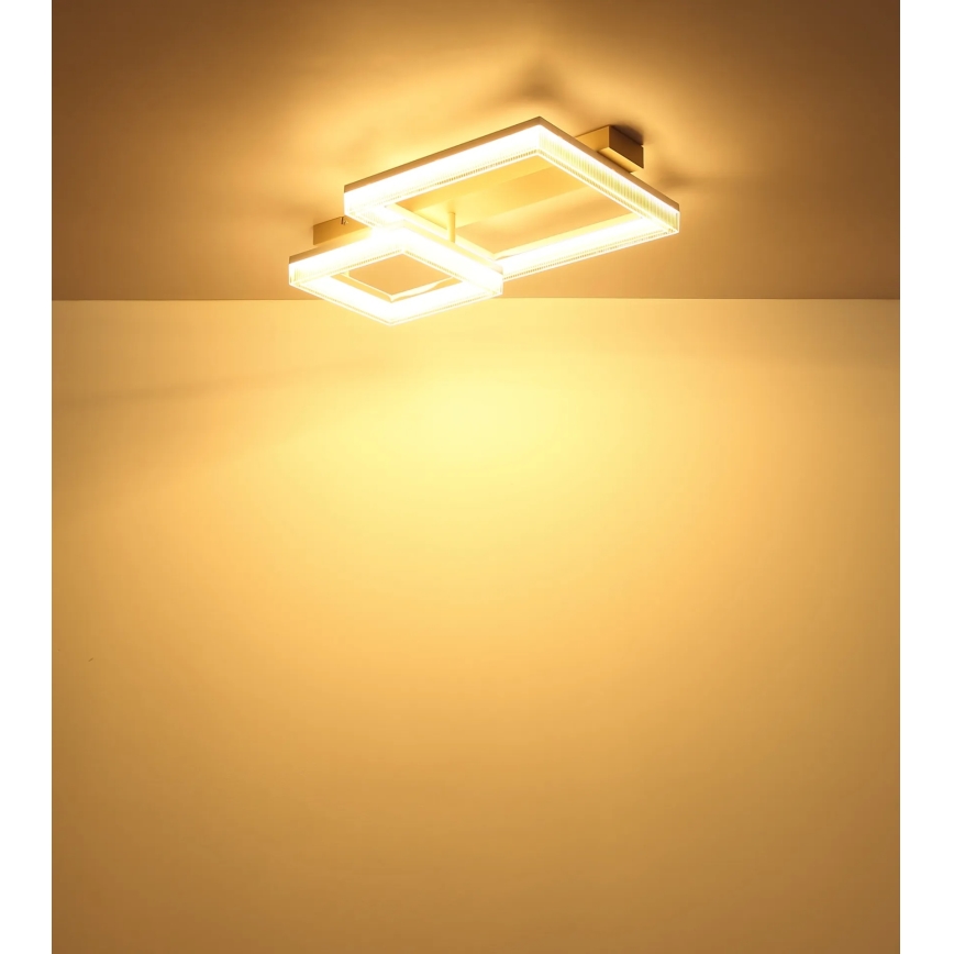 Globo - LED Stropní svítidlo LED/24W/230V 3000K 33x53 cm
