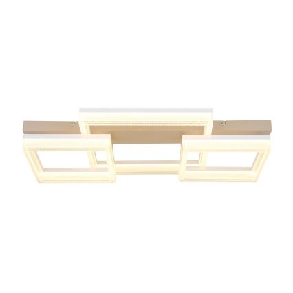 Globo - LED Stropní svítidlo LED/40W/230V 3000K 33x66 cm