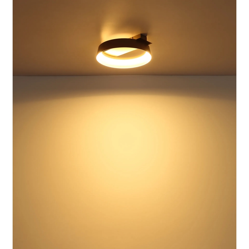 Globo - LED Stropní svítidlo LED/12W/230V 3000K 26x25 cm