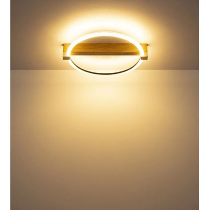 Globo - LED Stropní svítidlo LED/15W/230V 3000K béžová