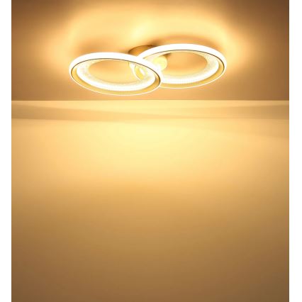 Globo - LED Stropní svítidlo LED/30W/230V 3000K 31,5x52,5 cm