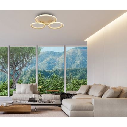 Globo - LED Stropní svítidlo LED/40W/230V 3000K 60,5x62,5 cm