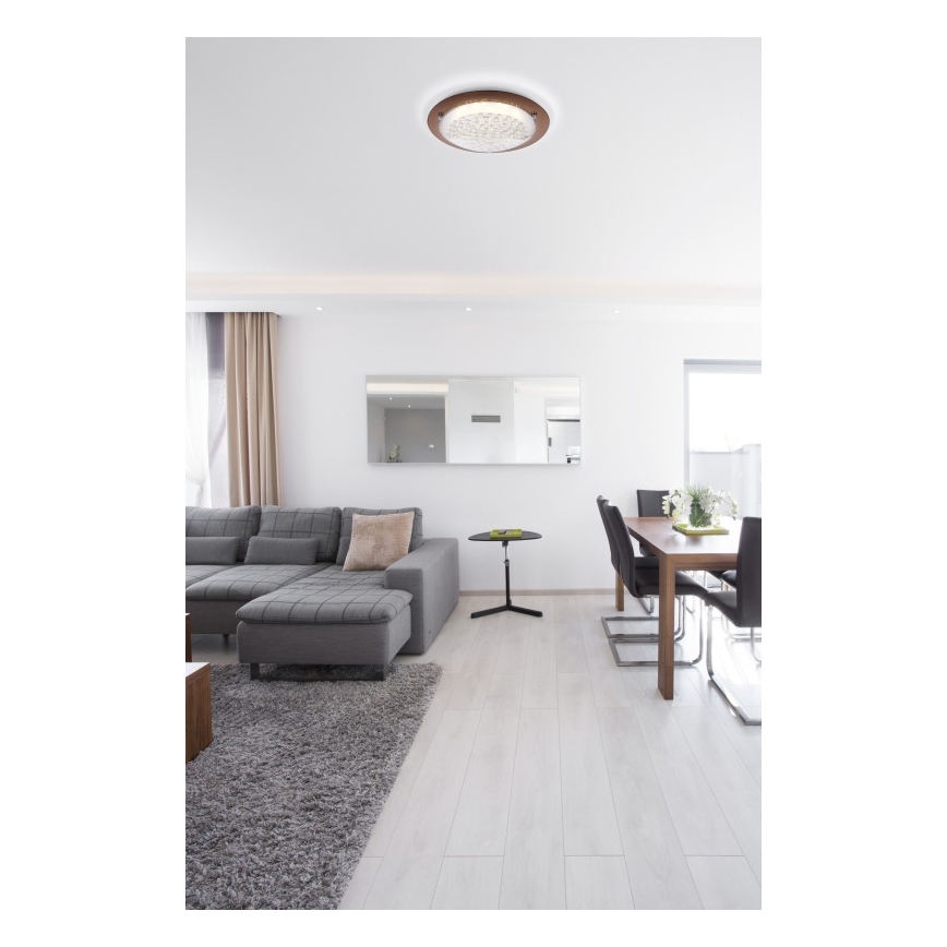 Globo - LED Stropní svítidlo TABASCO LED/12W/230V