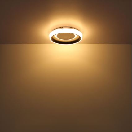 Globo - LED Stmívatelné stropní svítidlo LED/50W/230V 3000-6500K + dálkové ovládání