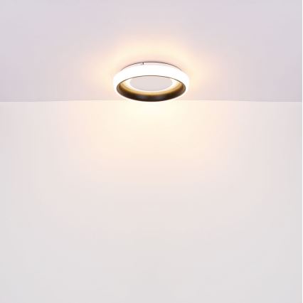 Globo - LED Stmívatelné stropní svítidlo LED/50W/230V 3000-6500K + dálkové ovládání