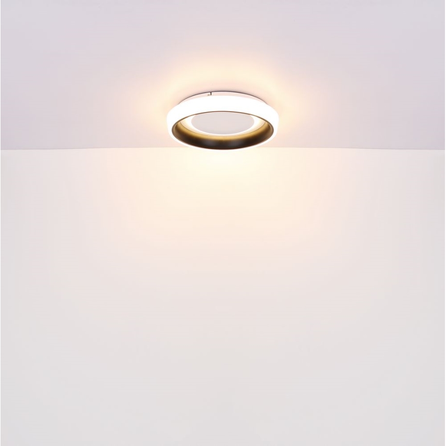 Globo - LED Stmívatelné stropní svítidlo LED/50W/230V 3000-6500K + dálkové ovládání
