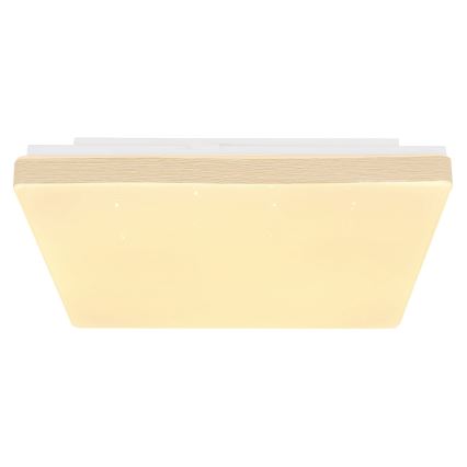 Globo - LED Stropní svítidlo LED/12W/230V