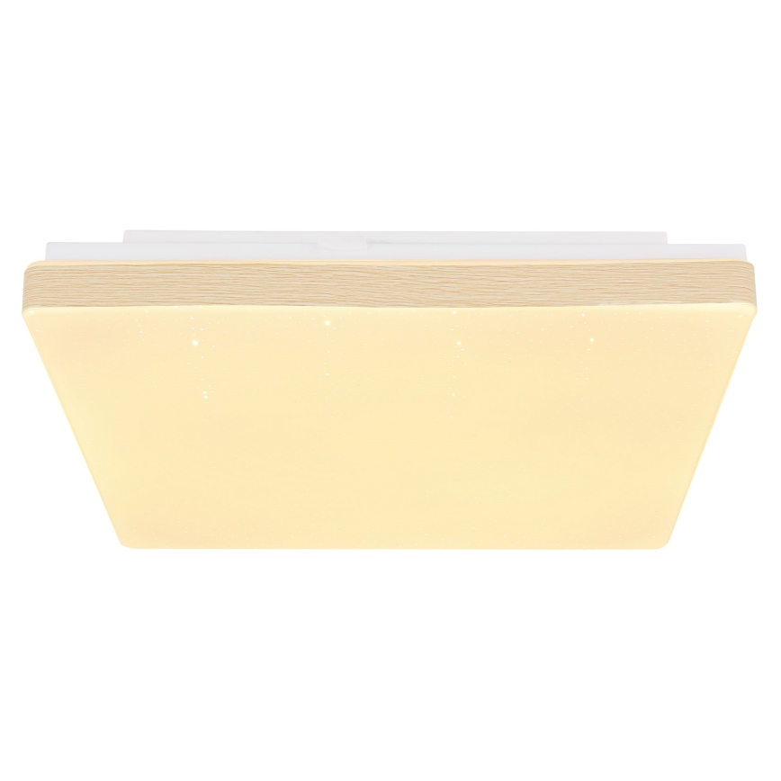 Globo - LED Stropní svítidlo LED/12W/230V